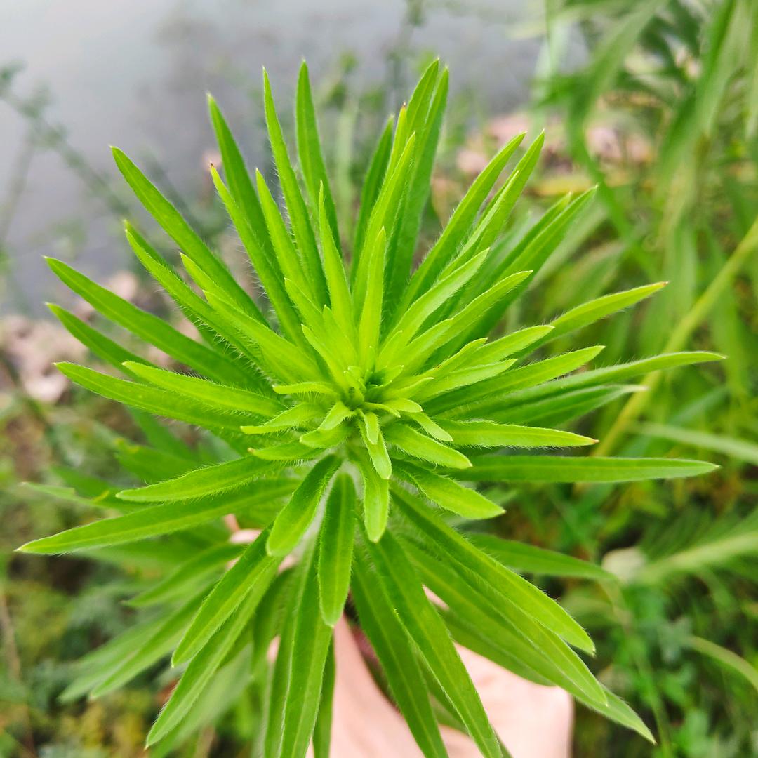 记得每天都要笑