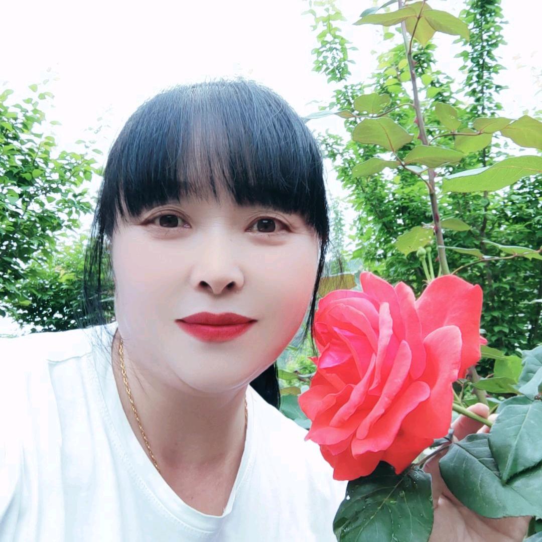 春暖花开🦋