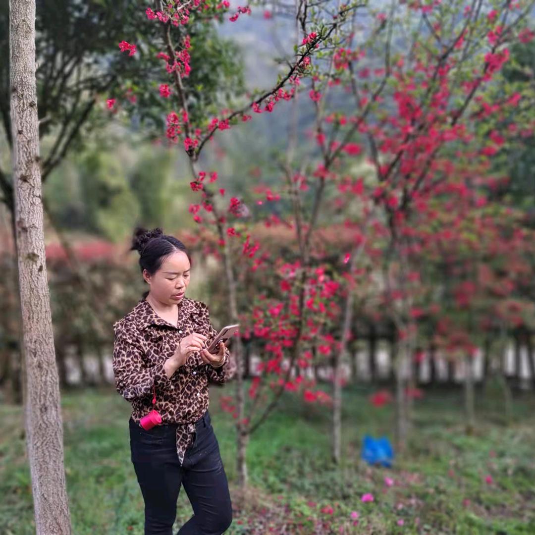 像雨像雾有像风
