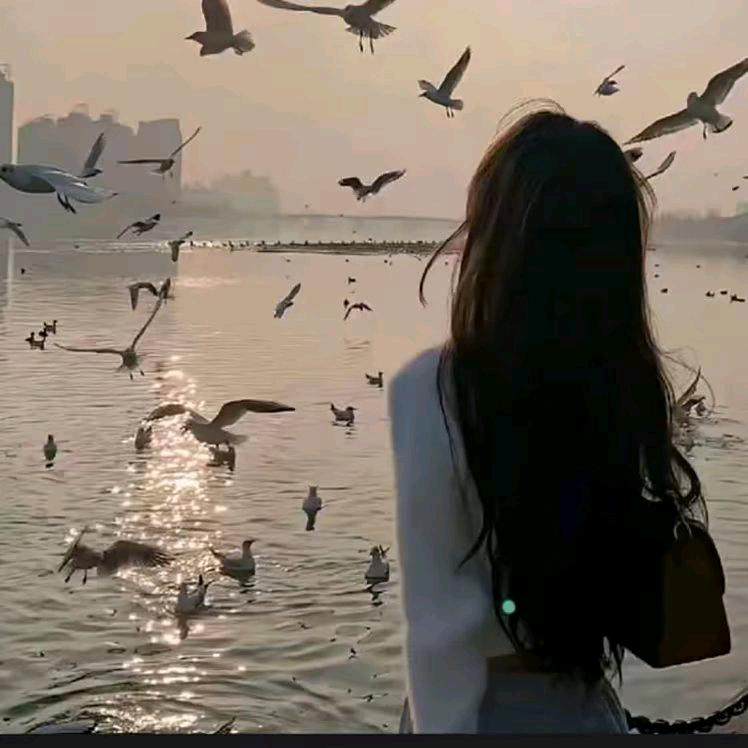 @听雨❤️