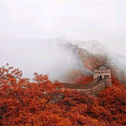 满面春风
