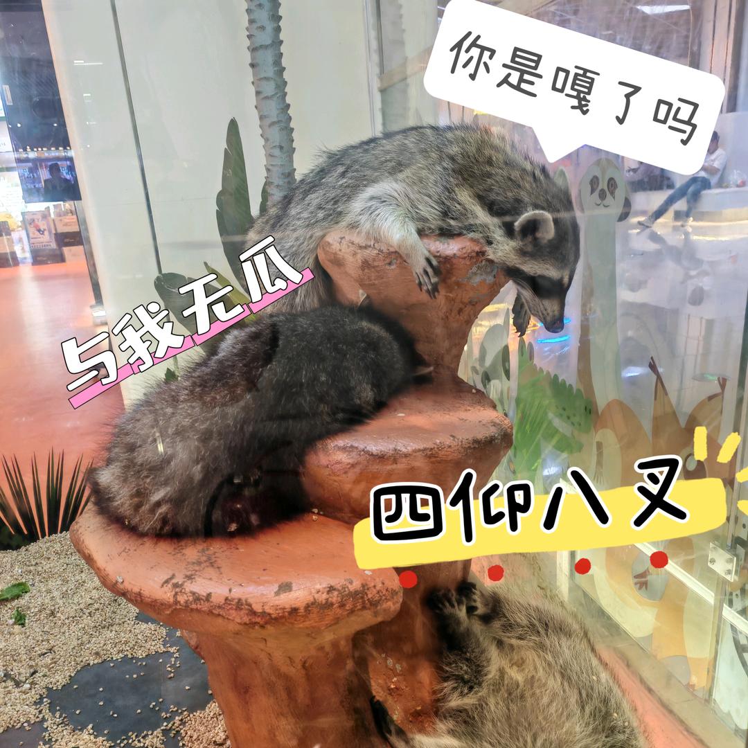 唐山萌呀神兽营地--涵涵