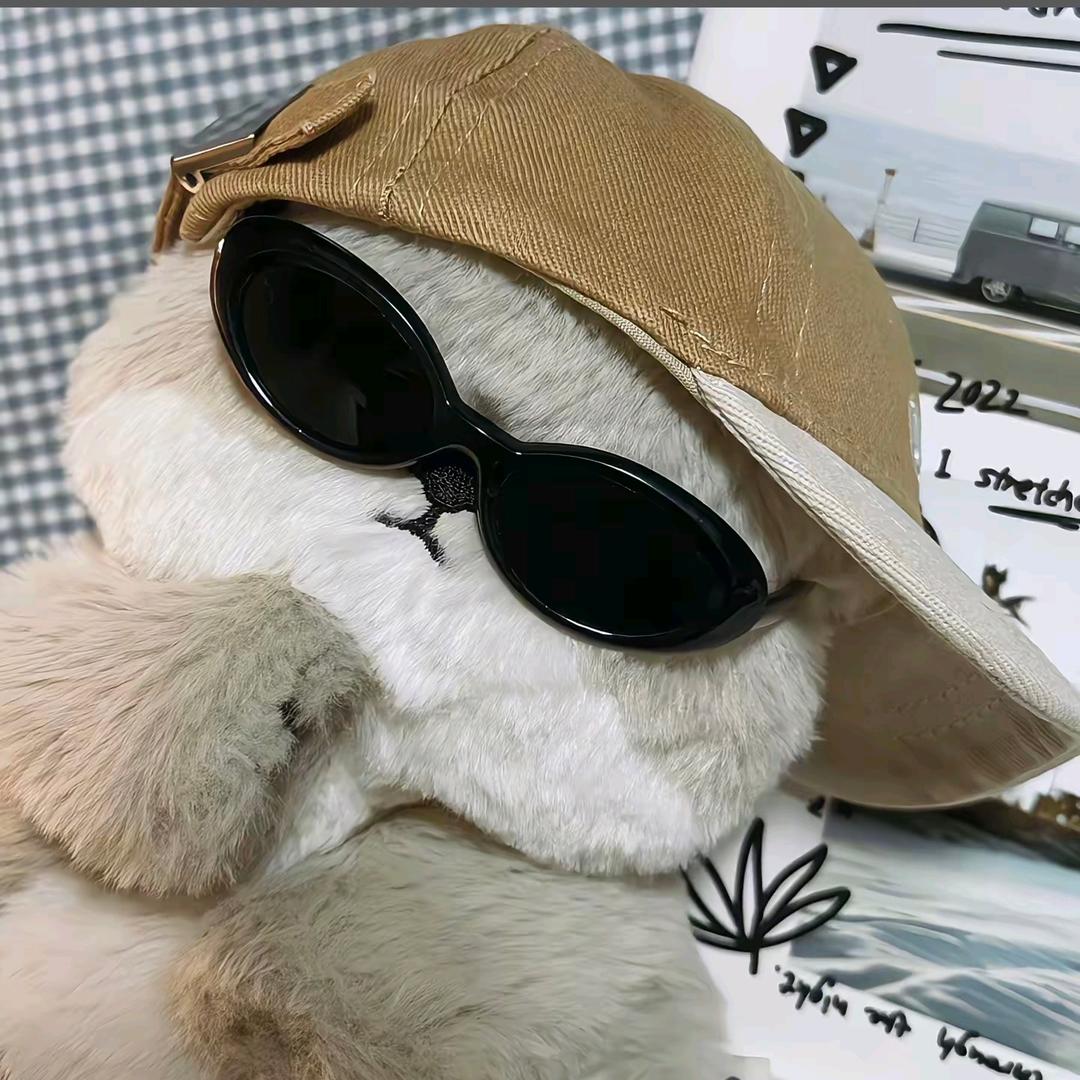 张小树