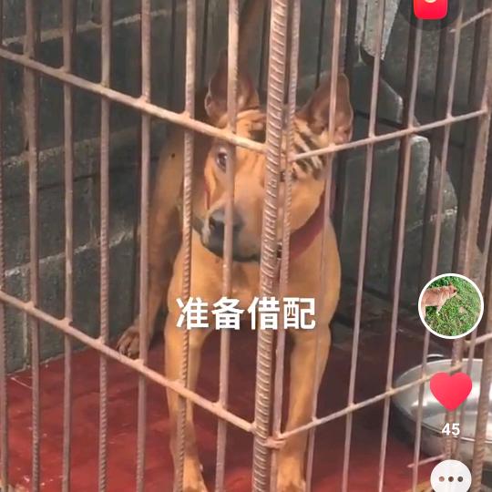 玉林农村人