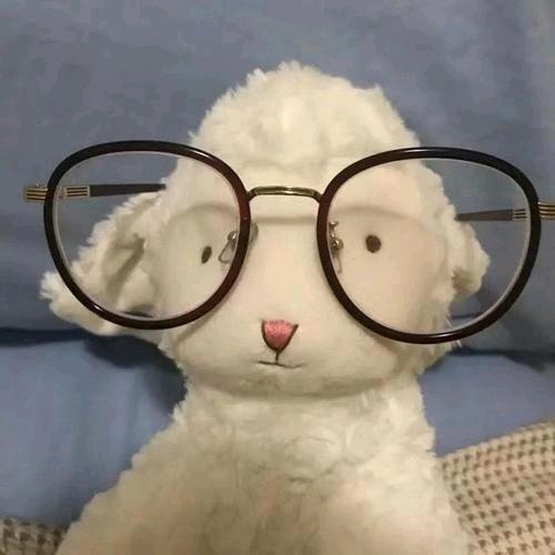 小可爱