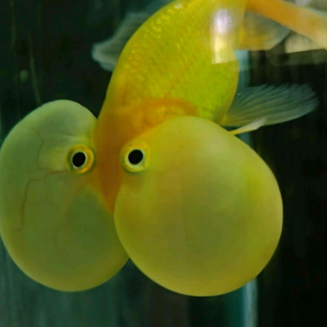 纯粹