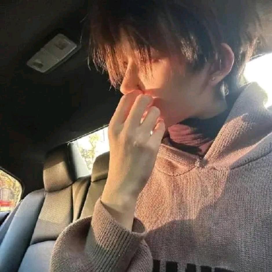 路易斯马源