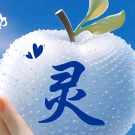 流星