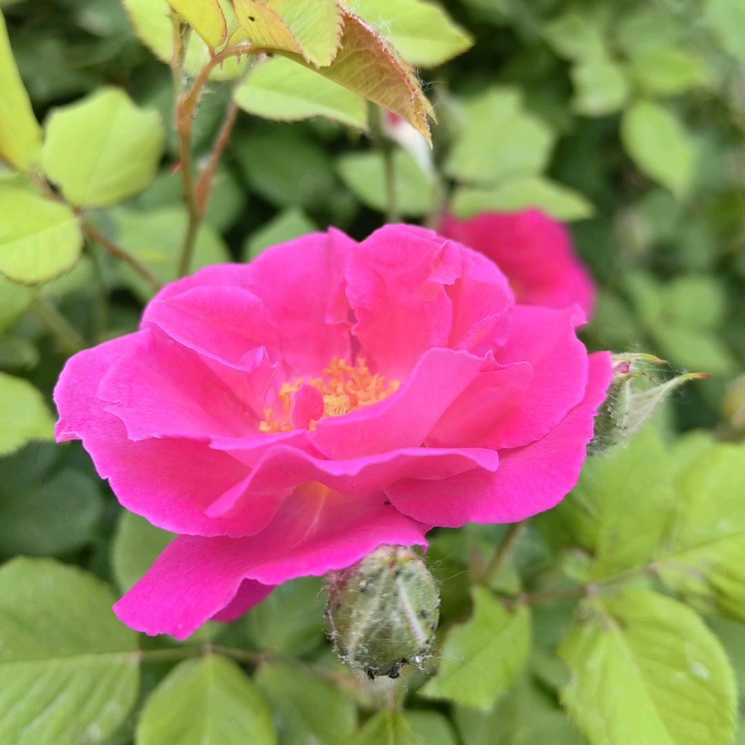 三八二十三（拒绝私聊）