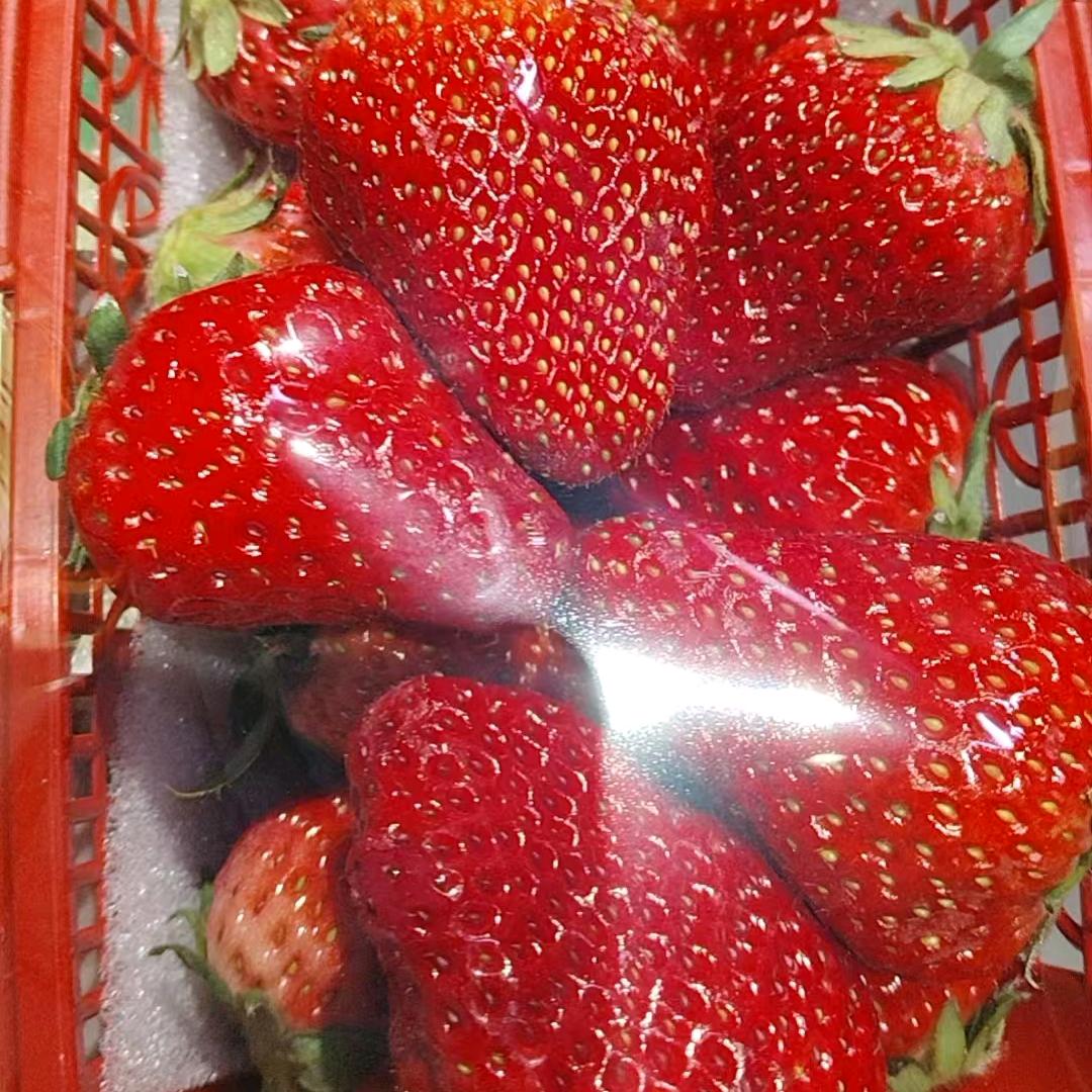 2姐
