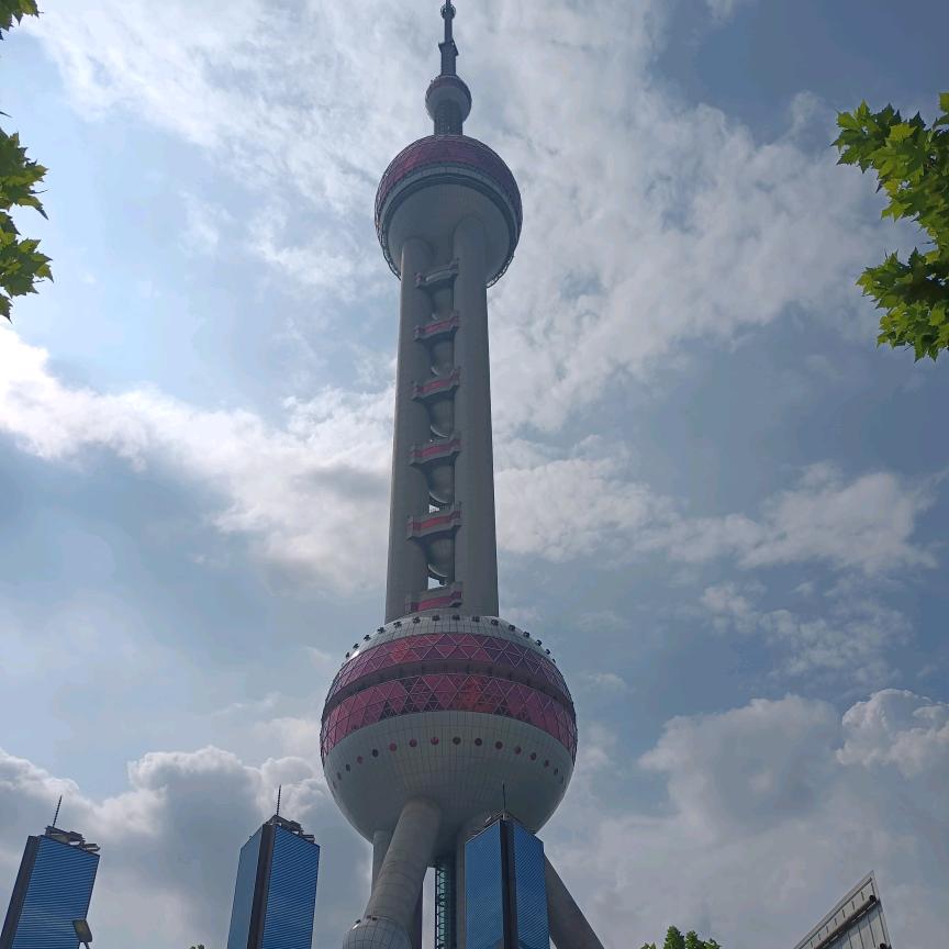 魔逗