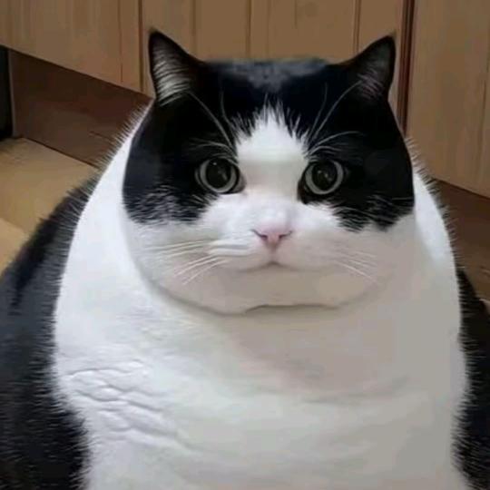 人生