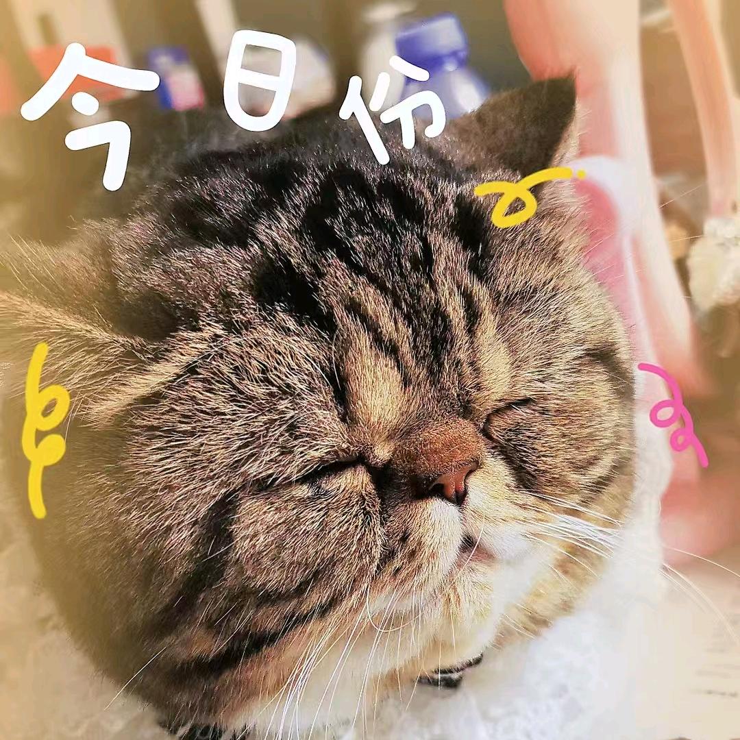 伊伊🥳🥳🥳