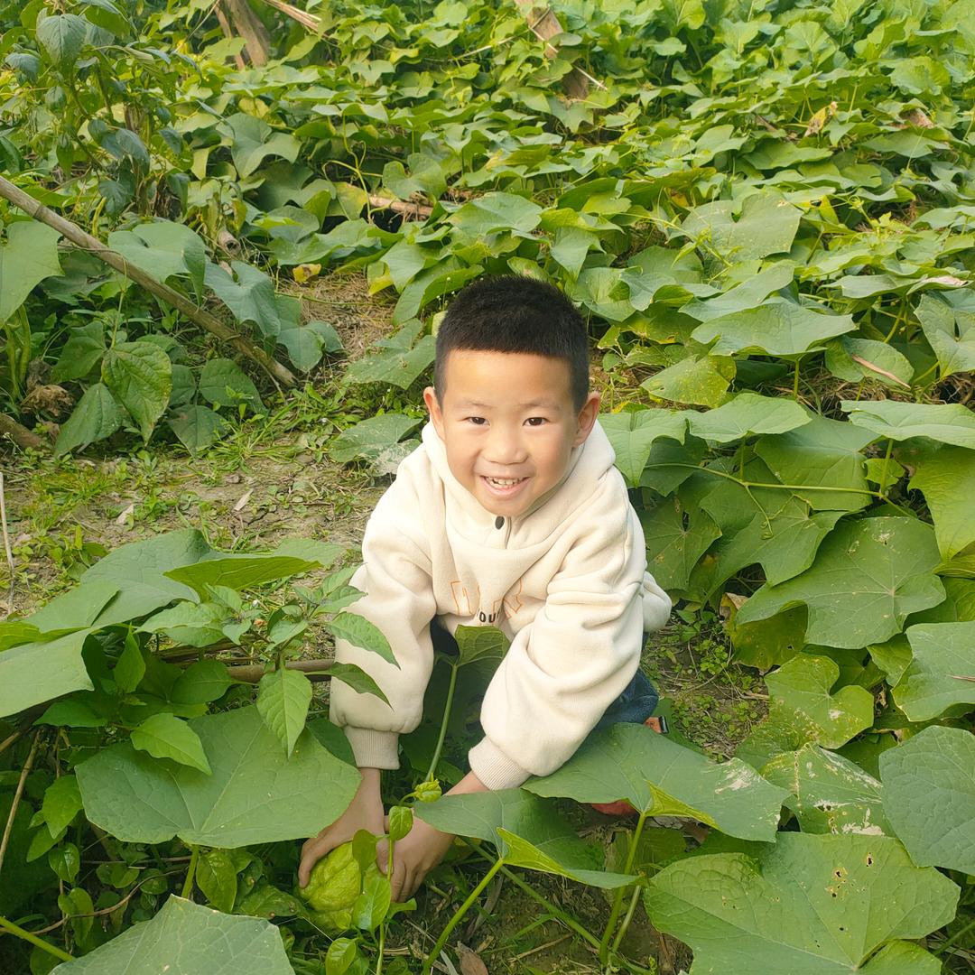 🍓草莓果酱🍡