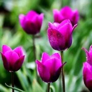 平平凡凡一生过