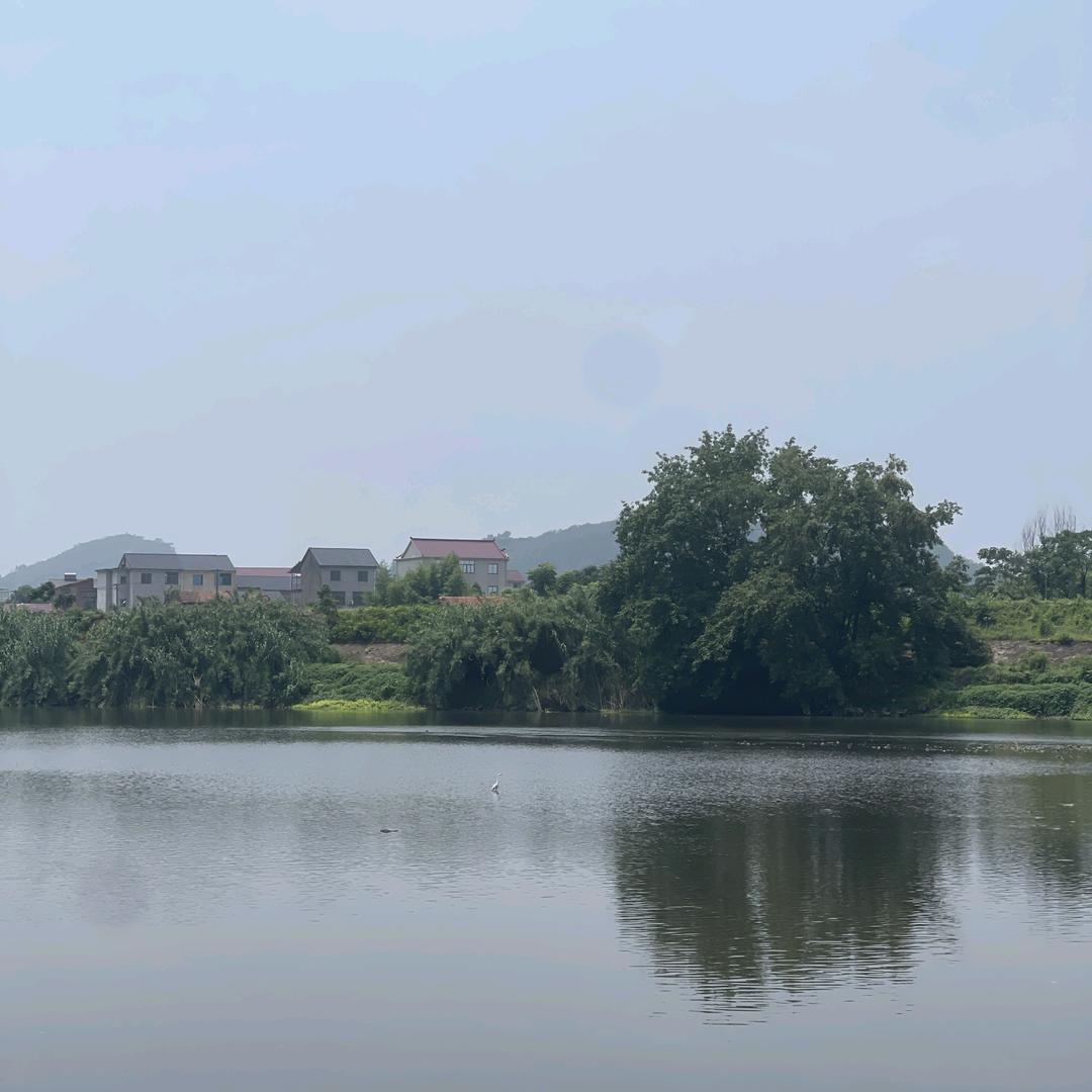 李哥