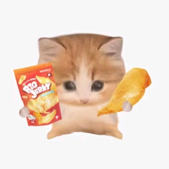 馍白