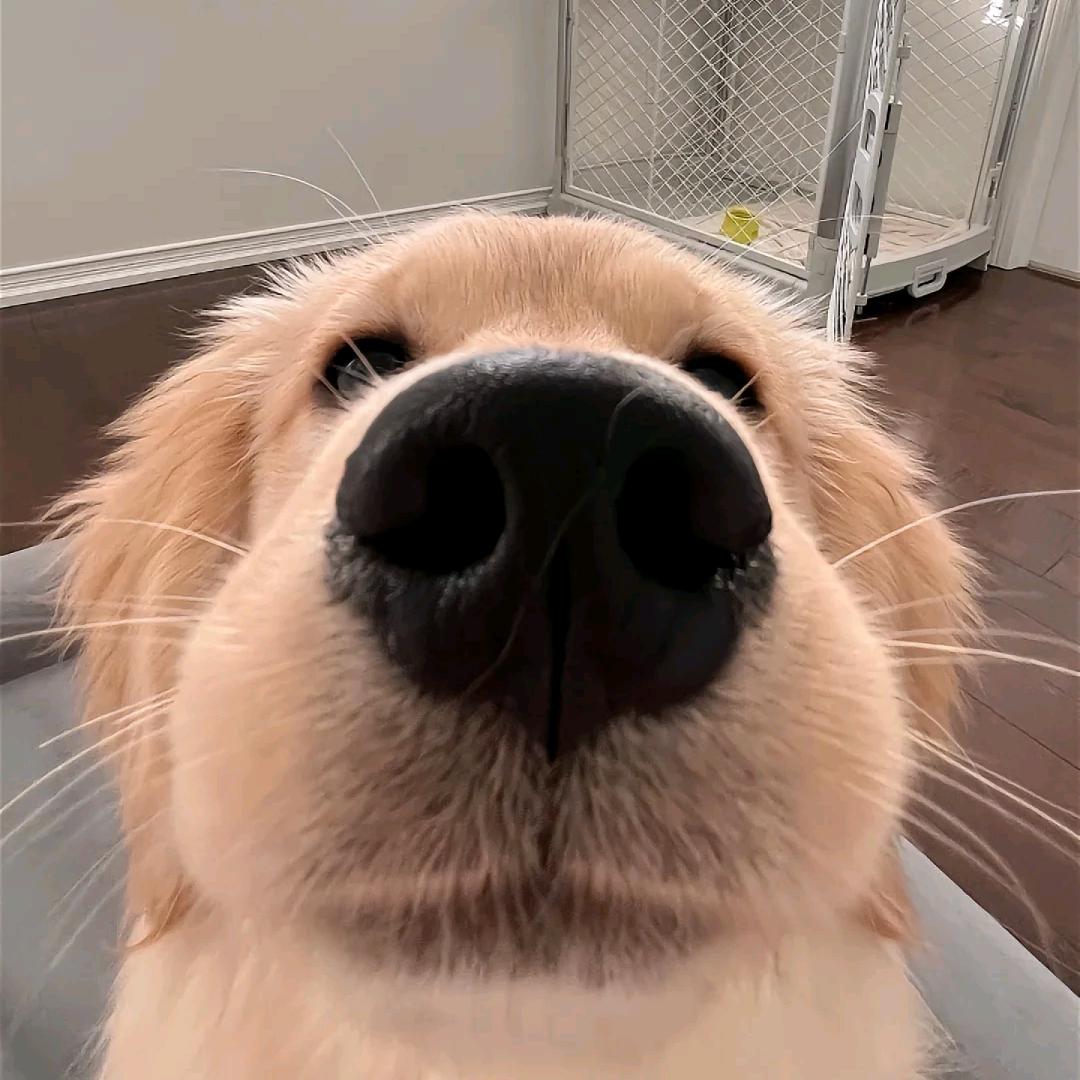 每天吧啦吧啦