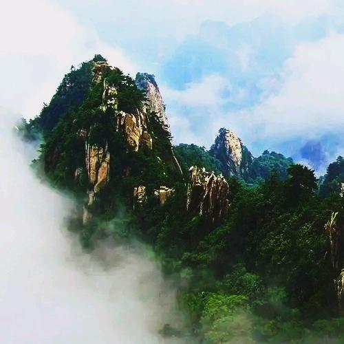 伏牛山山货
