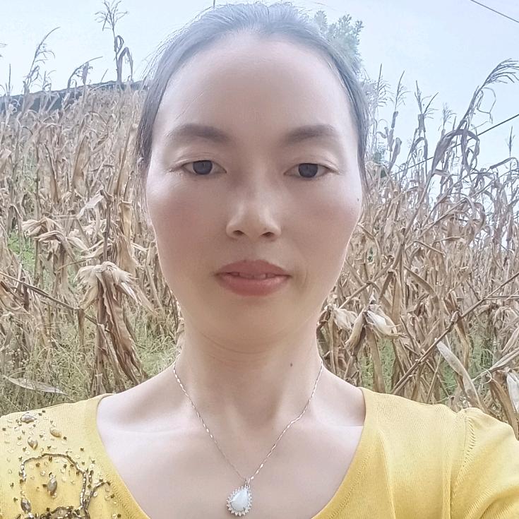 啊莲姐（停播学习）