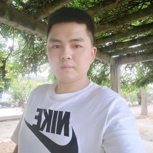 王进才