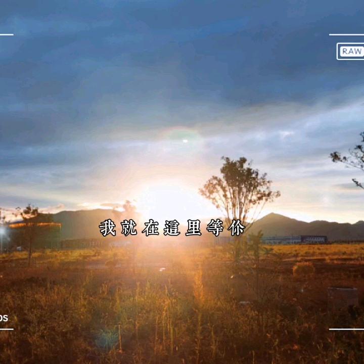 成双