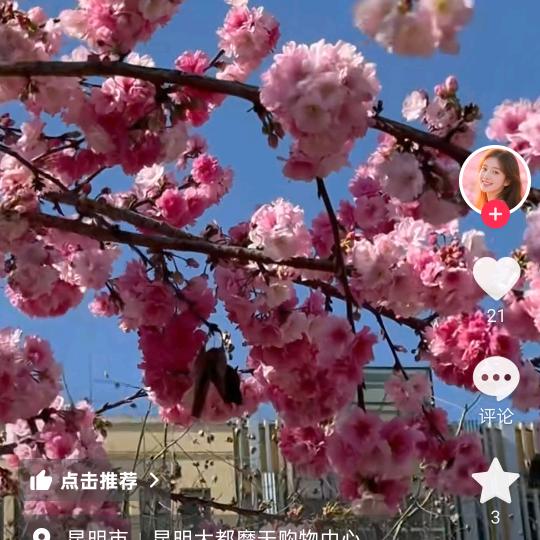 我等你回来