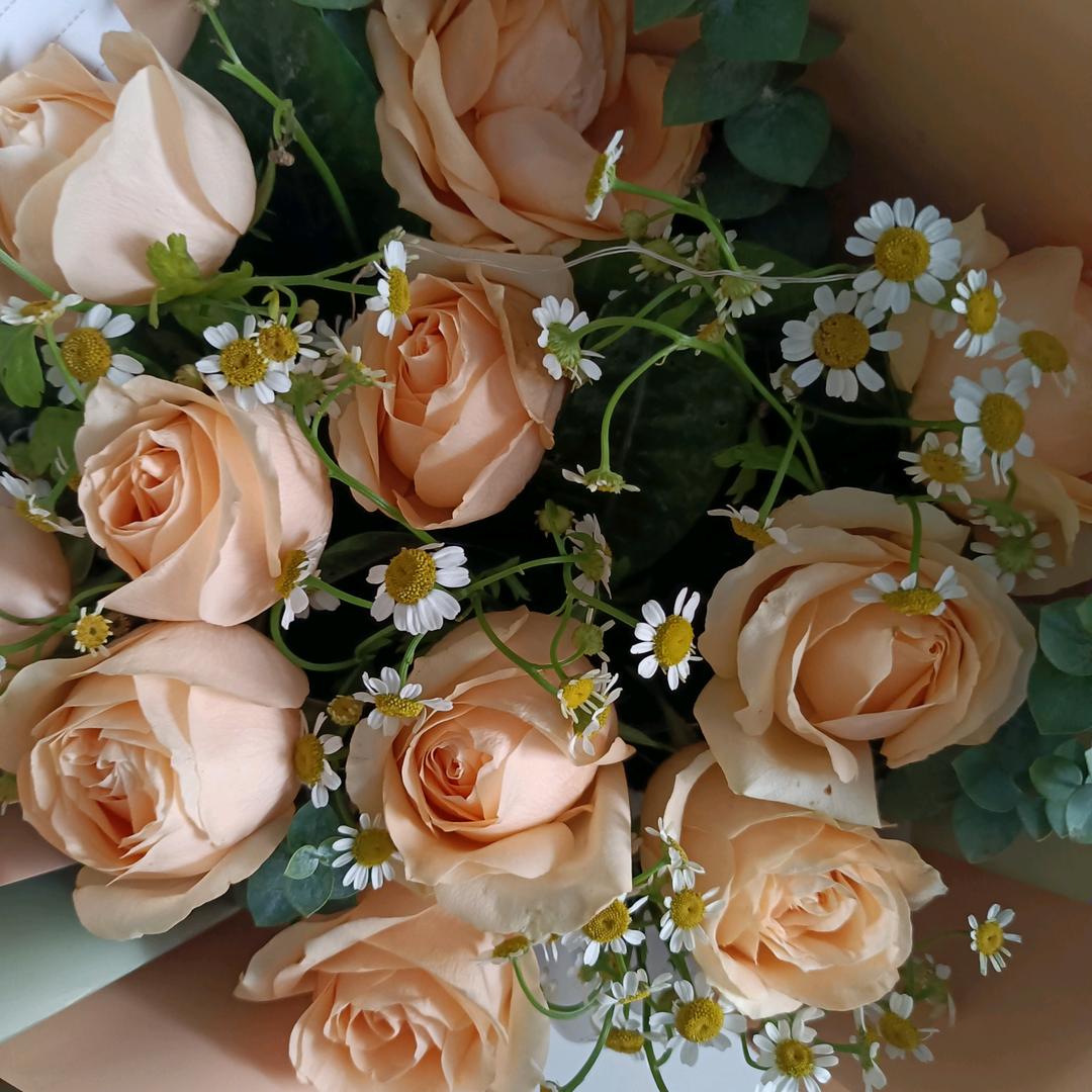 秋菊