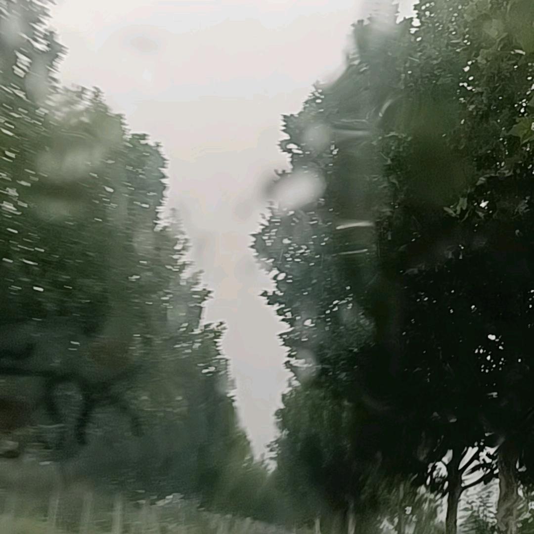 平平淡淡就好