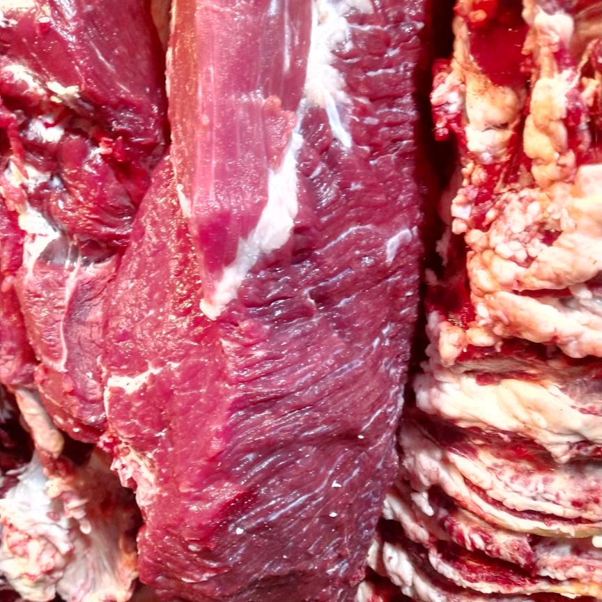 宜宾大溪口屠场牛肉牛副批发
