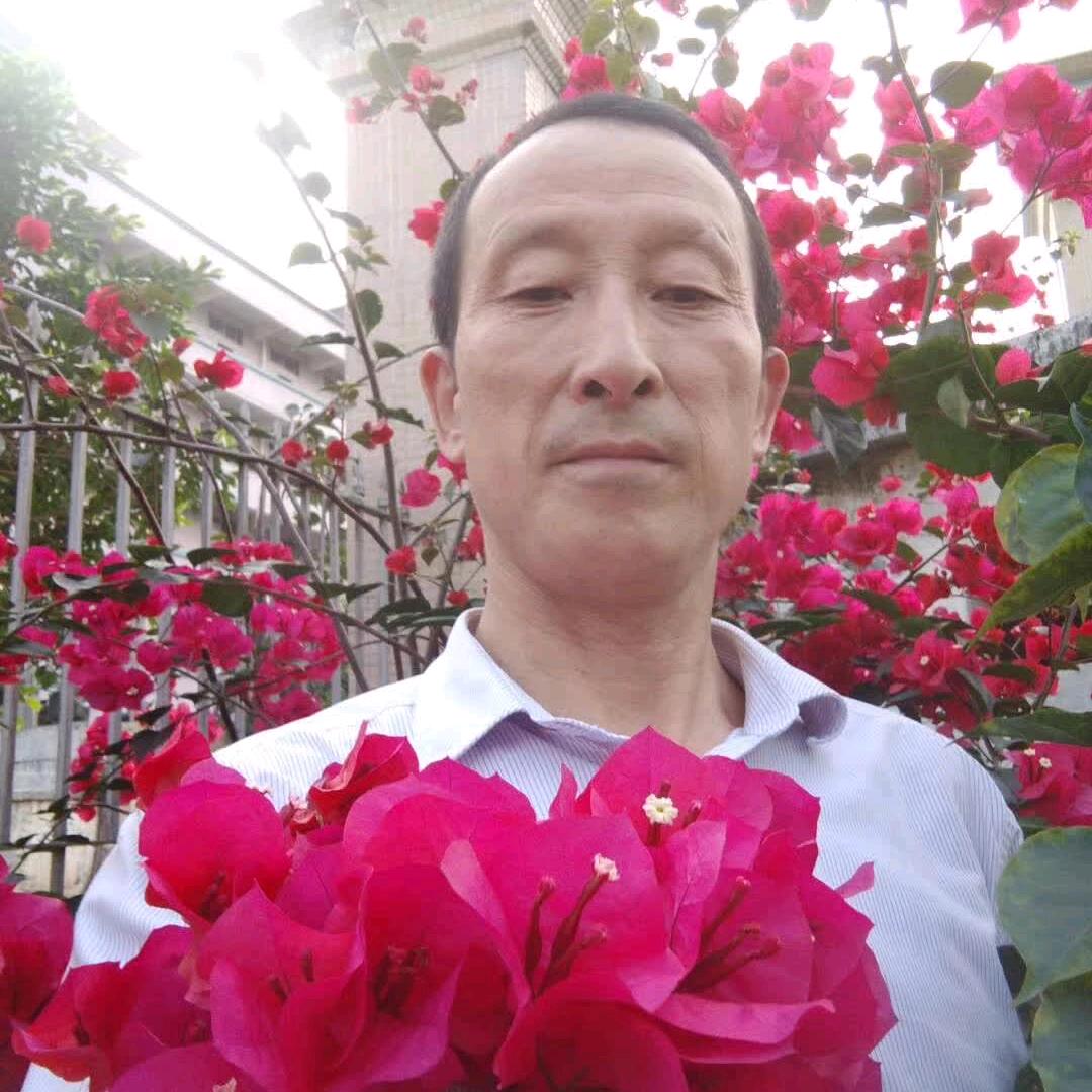 贵哥