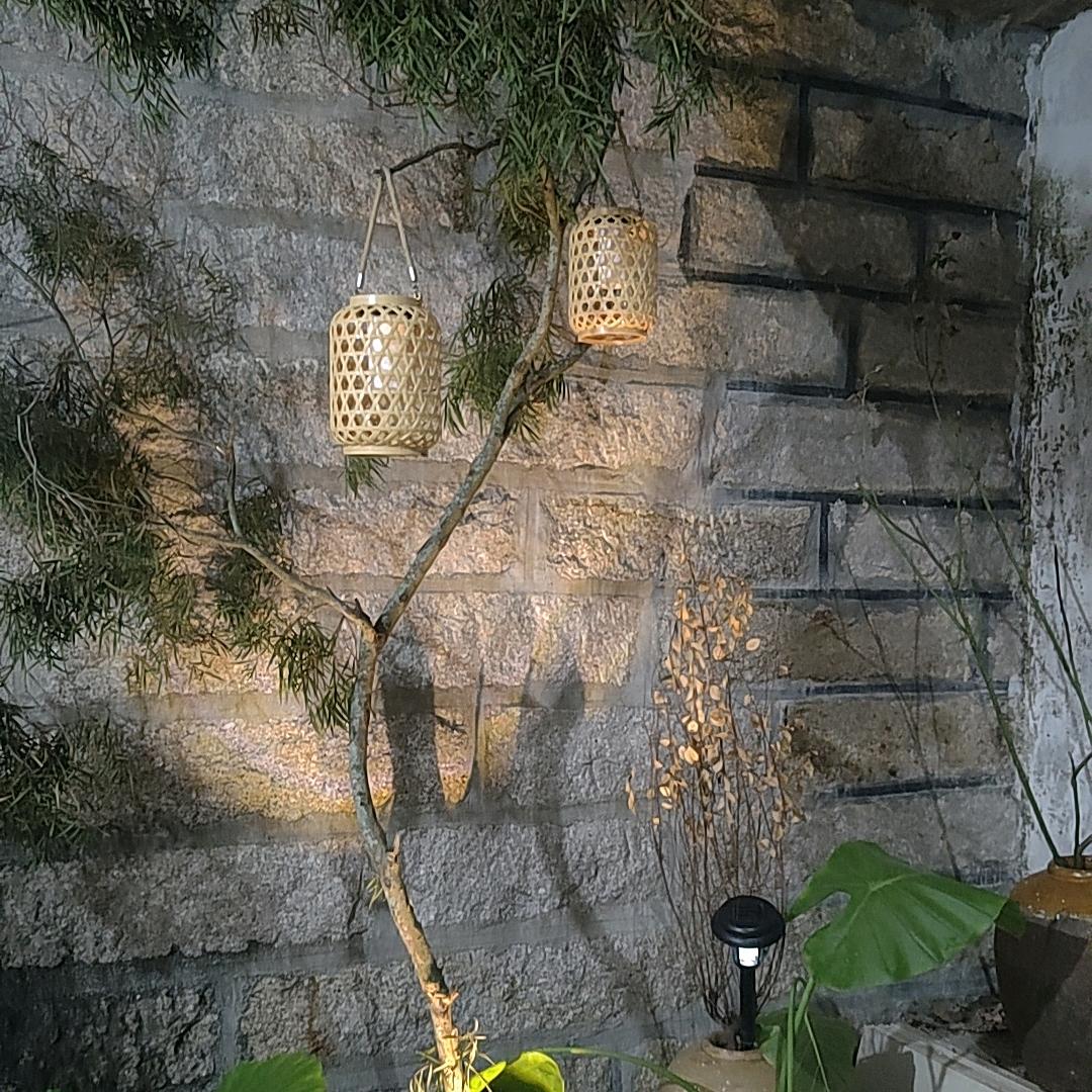 王先生，田园生活