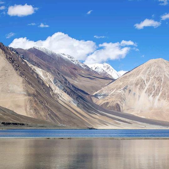 🐠绝地冉起🐠