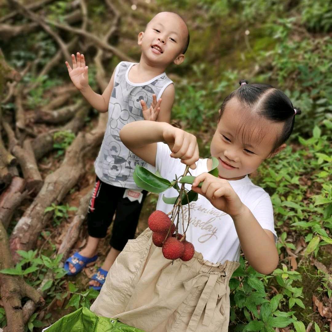 ༺ཊ逐鹿清风ཏ༻
