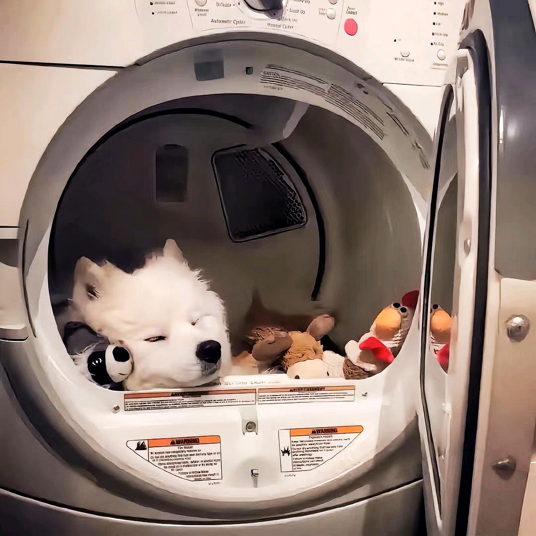 不会推球的小宇