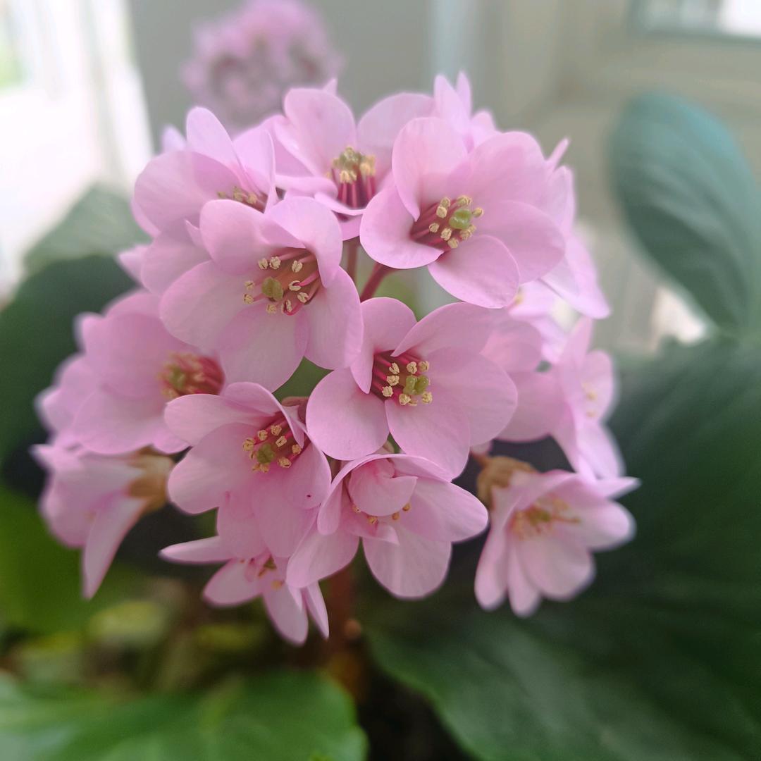 美好时光