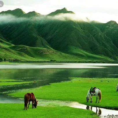 何映秋、鲜佰味干货《蓝田综合大市场》