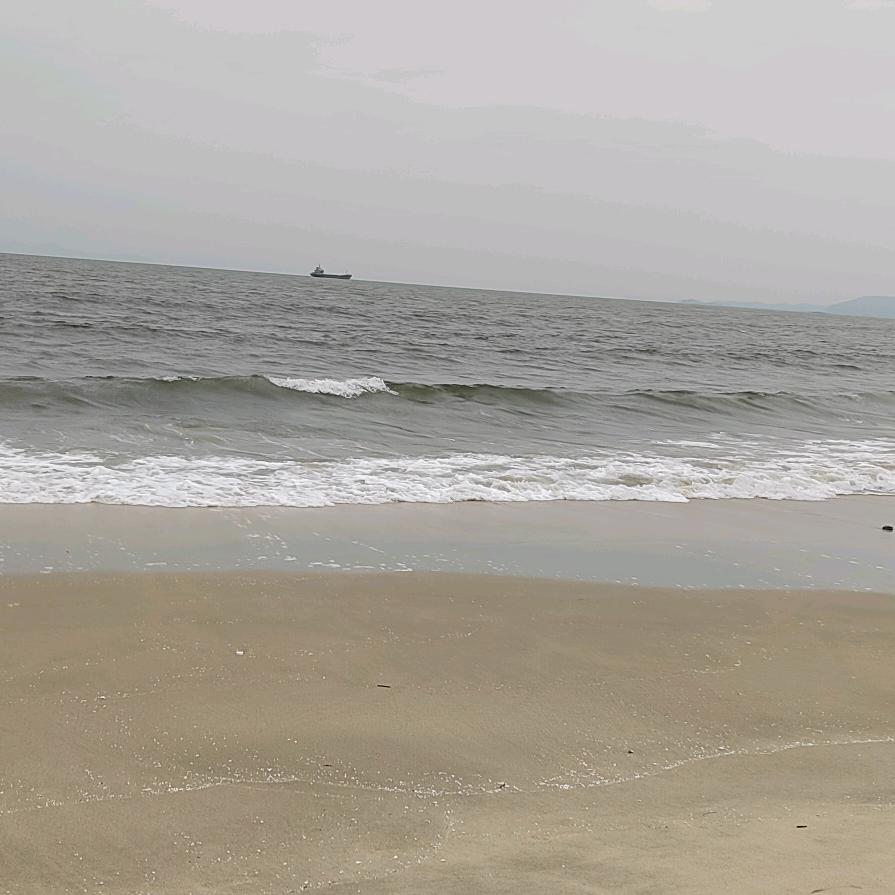 思念成沙