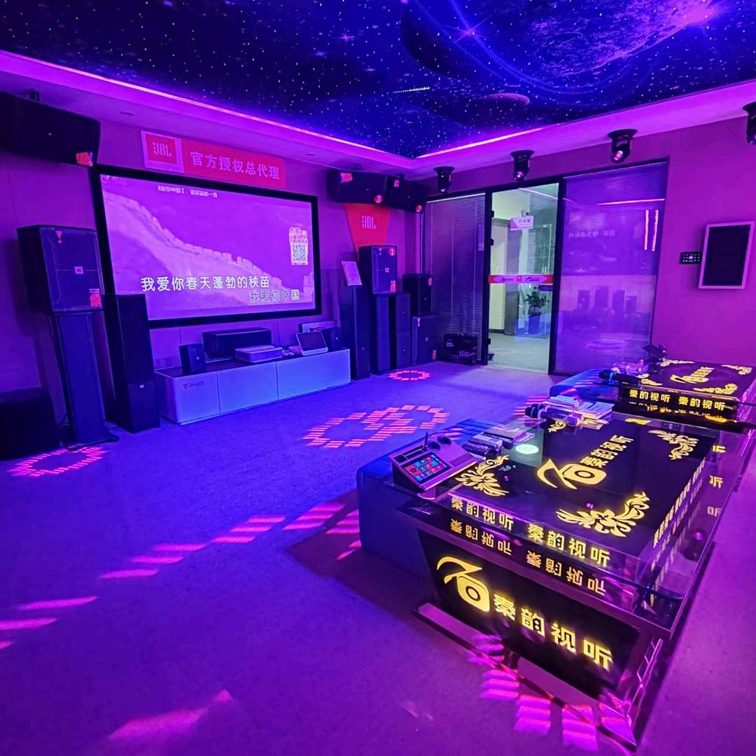 JBL&视易 秦韵小蜜蜂