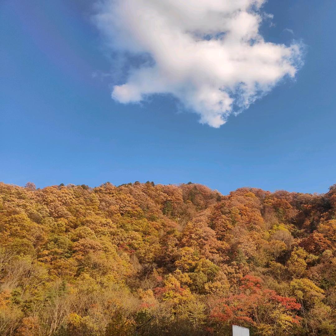 ✿ꦿ᭄@栀子花开এ᭄ꦿ💕