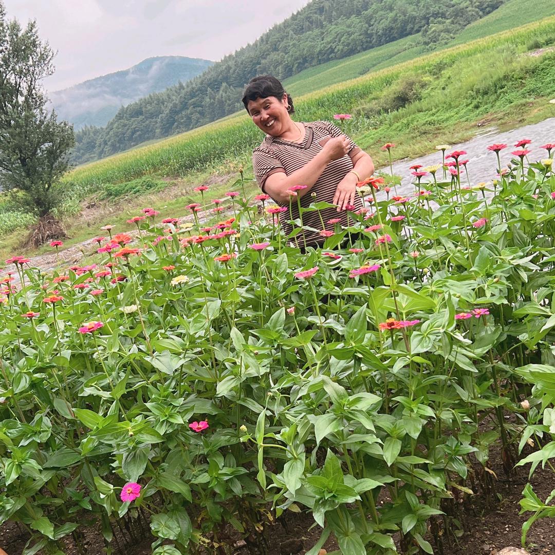 桃花依旧笑春风