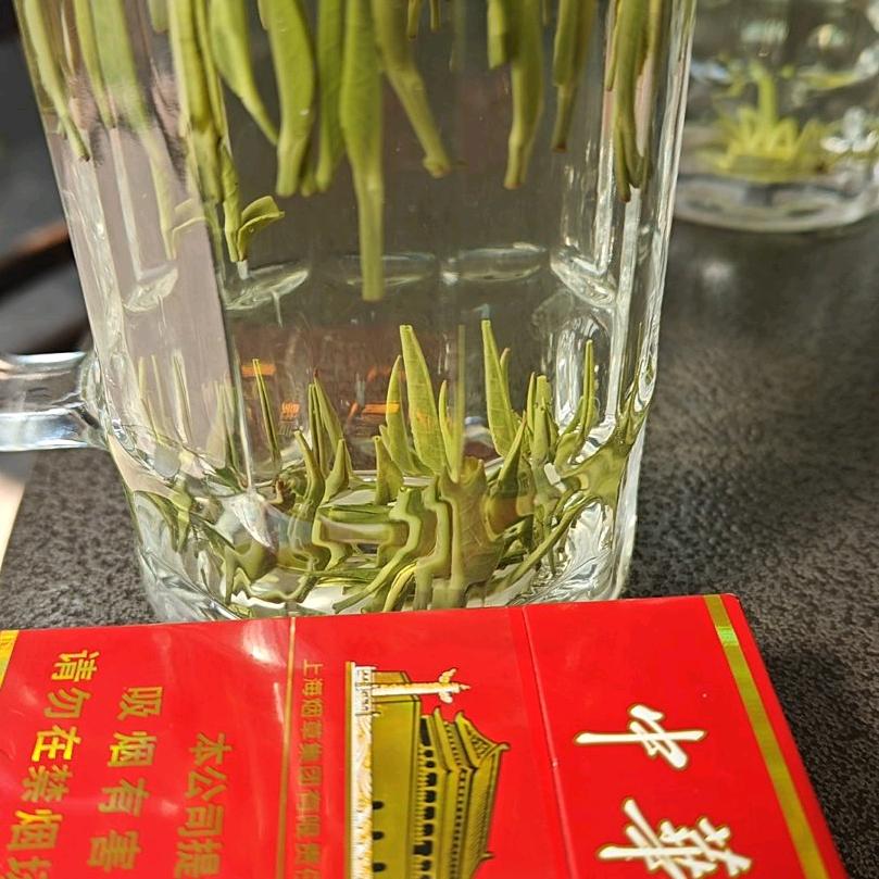 红尘过客