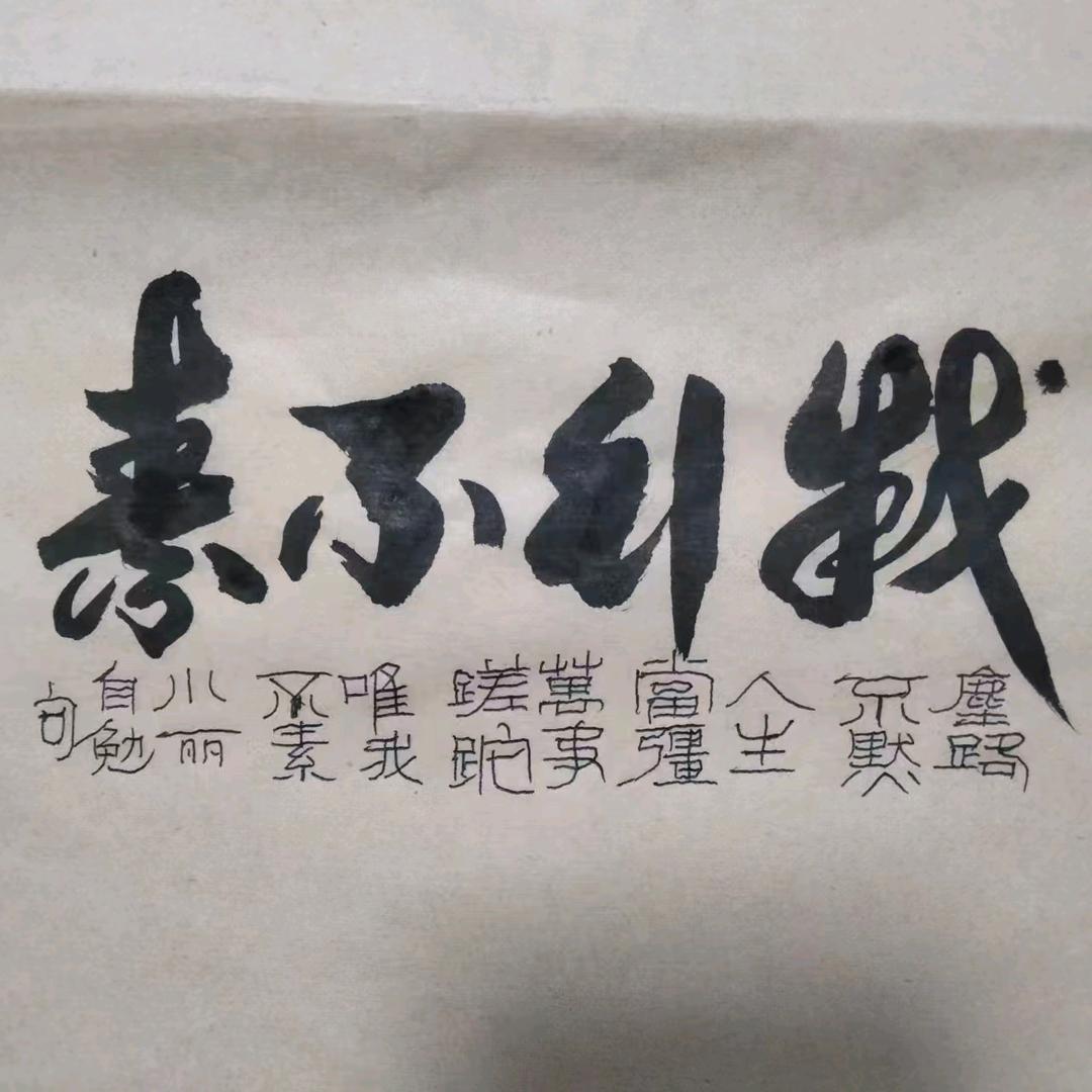 我行不素