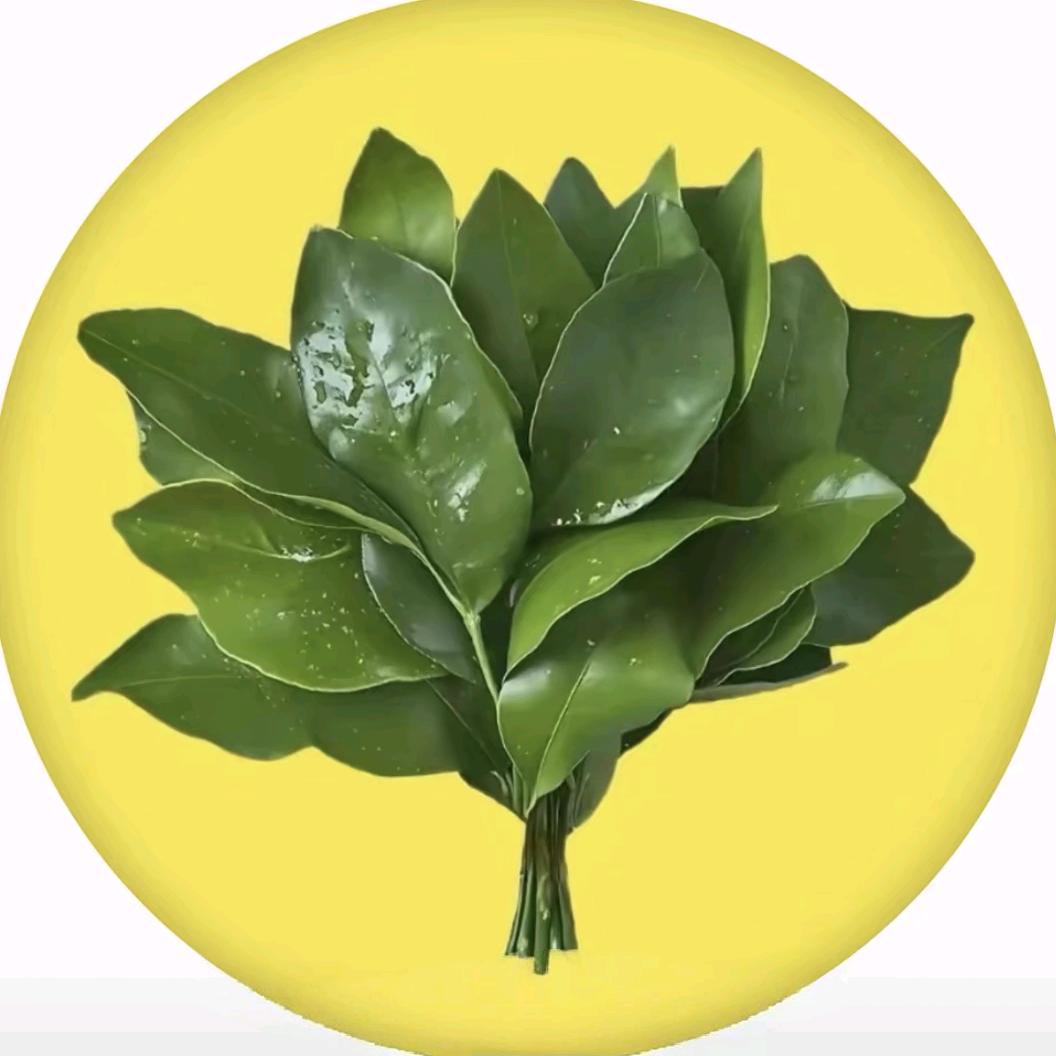 幼儿园抢饭第一名