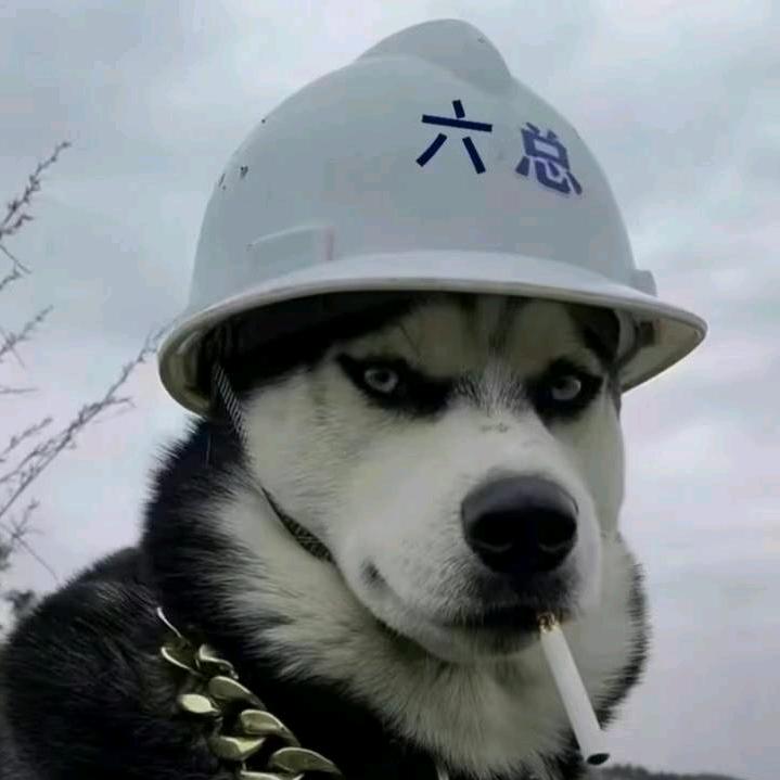 肖申六爱玩潘宏