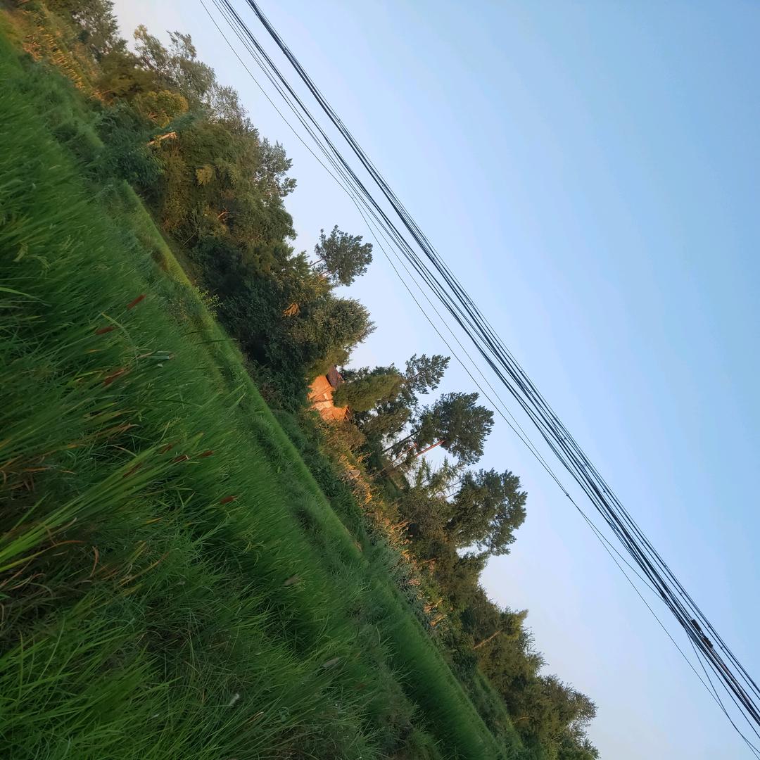 陈哥