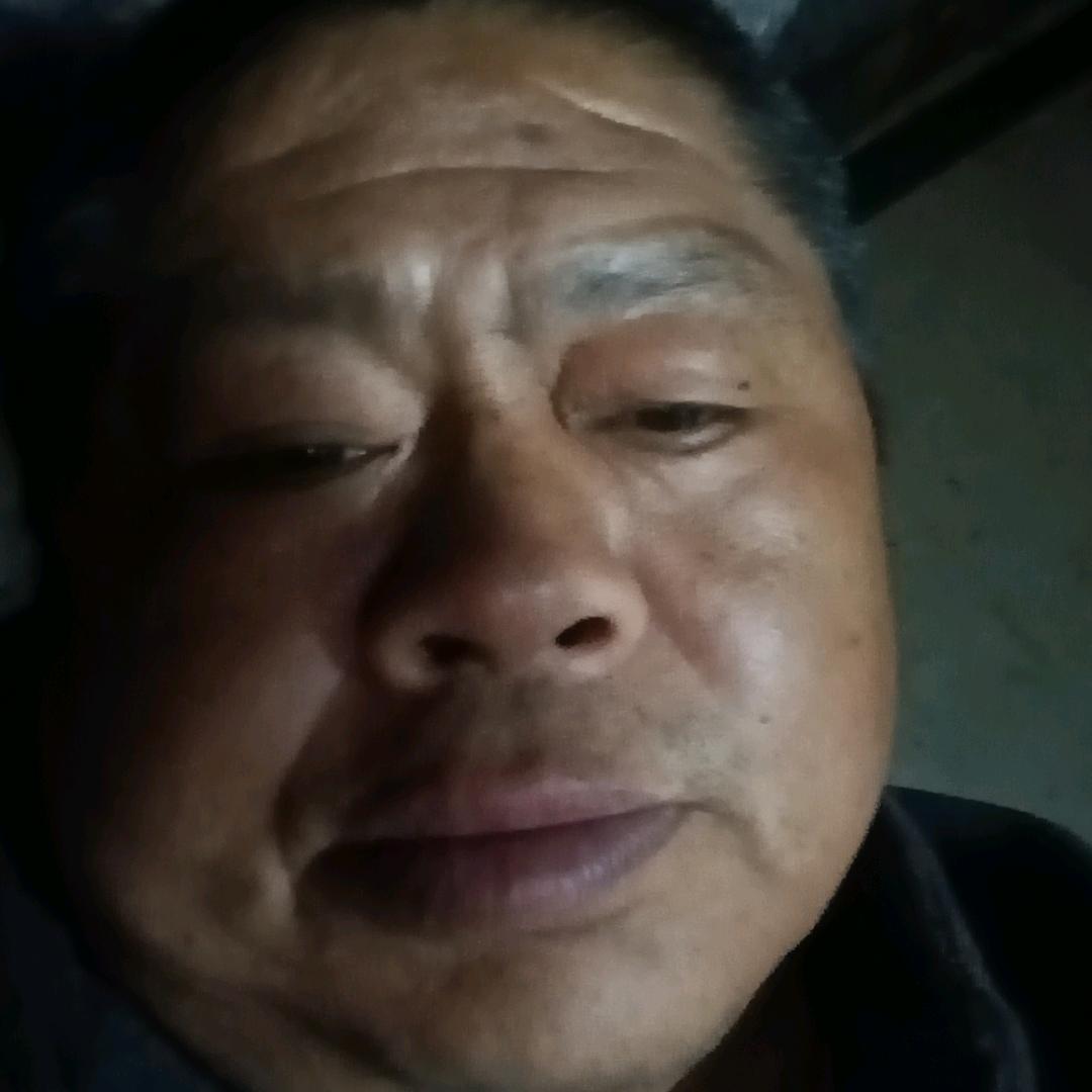 任意