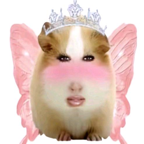 嗯，对，仙女下凡