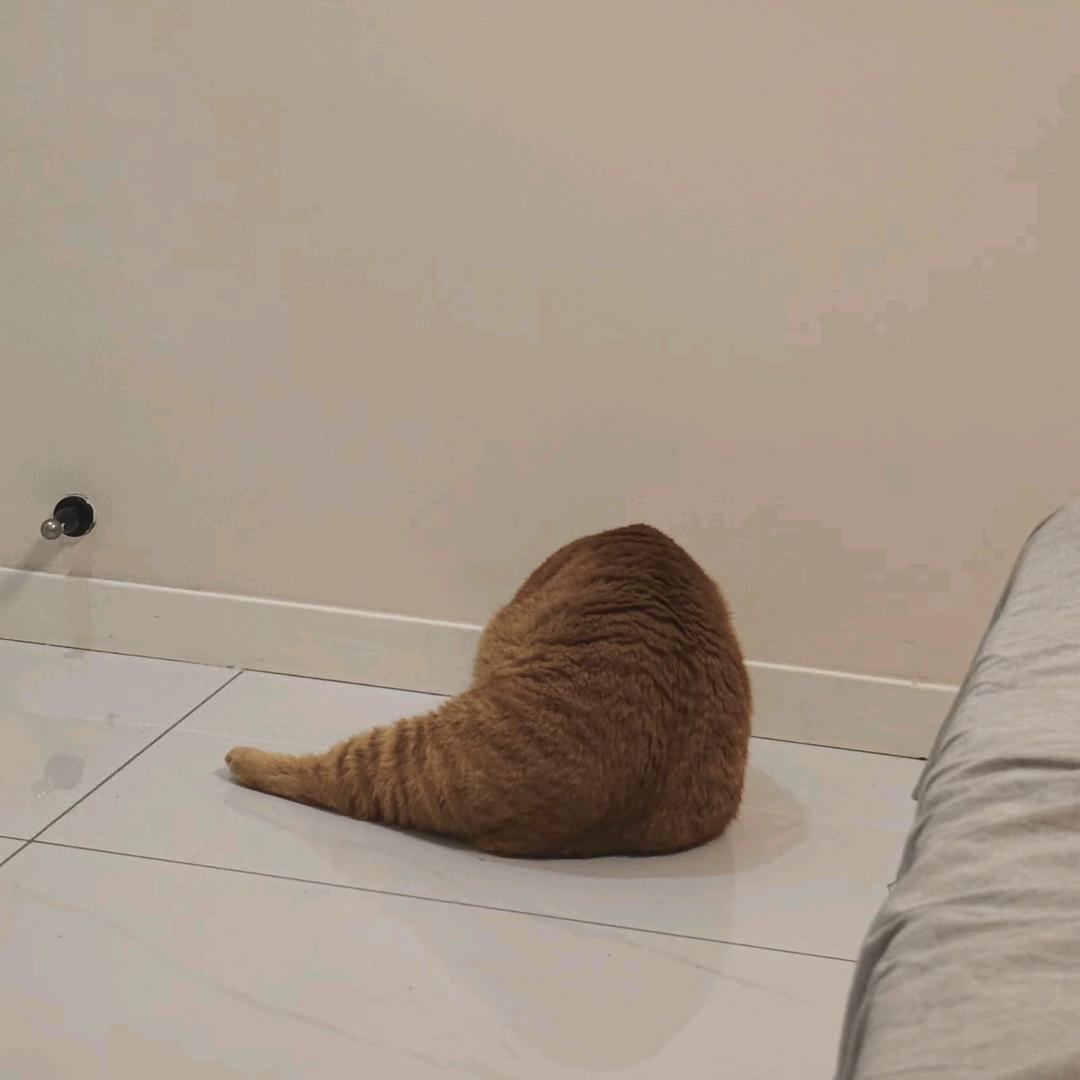 小北