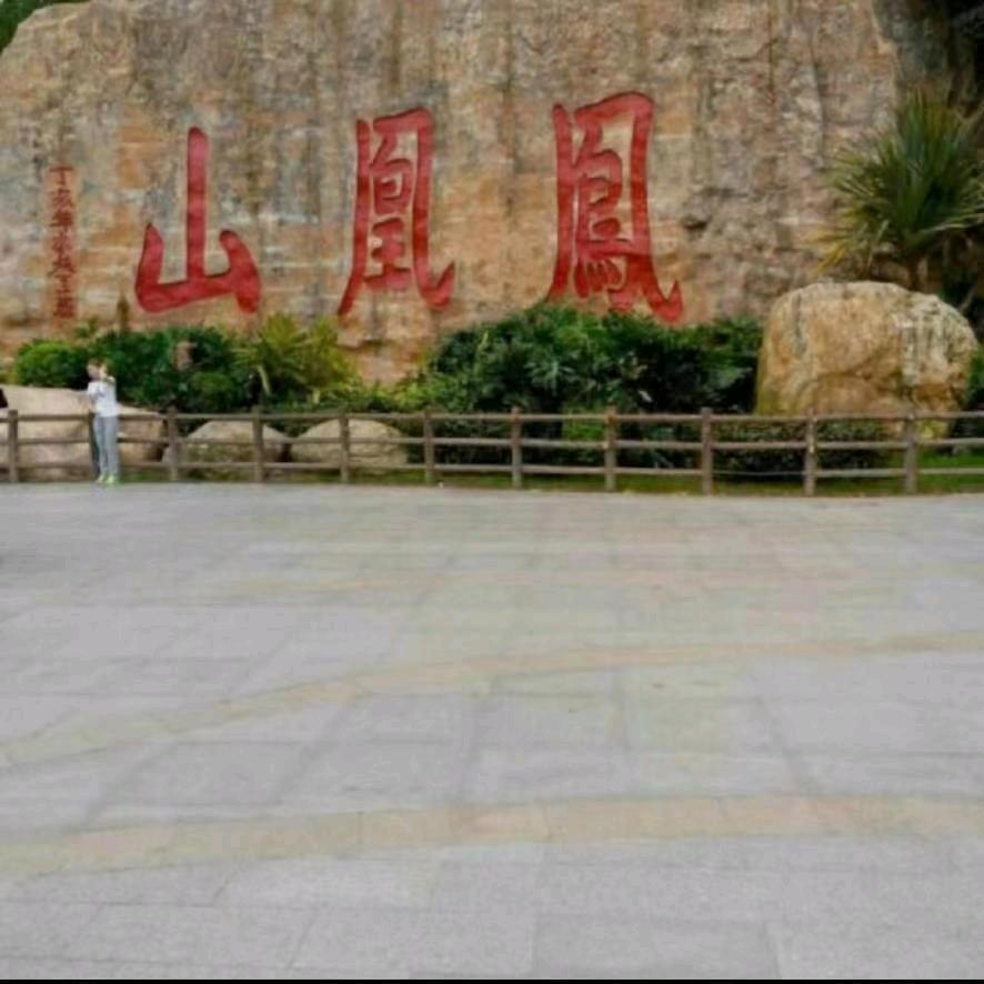 邮一棵草莓